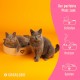 CASALOBA Cat Basket for Sleeping, Scratching and Playing, Durable Cat Scratching Board Made of Premium Corrugated Cardboard in Modern Cat Head Shape, 3-in-1 Cat Toy, Scratching Furniture and Sleeping CASALOBA Cat Basket for Sleeping, Scratching and Playing, Durable Cat Scratching Board Made of Premium Corrugated Cardboard in Modern Cat Head Shape, 3-in-1 Cat Toy, Scratching Furniture and Sleeping
