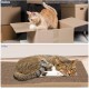 Cardboard Cutter for Cat Scratching Boards, 3D Printed Cardboard Cutter, Cardboard Cutter, DIY Cat Scratcher Cardboard Cutter Tool, Pet Accessories, for Homemade Cat Scratching Boards Cardboard Cutter for Cat Scratching Boards, 3D Printed Cardboard Cutter, Cardboard Cutter, DIY Cat Scratcher Cardboard Cutter Tool, Pet Accessories, for Homemade Cat Scratching Boards