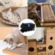 Cardboard Cutter for Cat Scratching Boards 3D Printed Cutter for Cat Scratching Bed Cat Shaped Cardboard Cutter for Scratching Cardboard Strips Strip Cutting Machine Cardboard Cutter for Cat Scratching Boards 3D Printed Cutter for Cat Scratching Bed Cat Shaped Cardboard Cutter for Scratching Cardboard Strips Strip Cutting Machine