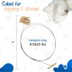 Cat Dancer Products CATD0101D Small Breeds Cat Toy Cat Dancer Products CATD0101D Small Breeds Cat Toy
