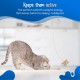 Cat Dancer Products CATD0101D Small Breeds Cat Toy Cat Dancer Products CATD0101D Small Breeds Cat Toy