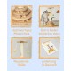 Cat Scratching Post - Interactive Cat Toy with 40 cm High Scratching Post, Feather and Rattle Balls - Small Cat Scratching Post - Cat Scratching Furniture Cat Scratching Post - Interactive Cat Toy with 40 cm High Scratching Post, Feather and Rattle Balls - Small Cat Scratching Post - Cat Scratching Furniture