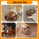 Cat Toy, Magic Accordion Scratching Board, Interactive Toy with Ball Track, Cardboard Scratching Toy for Home Cats and Kittens, Activity and Exercise