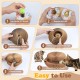 Cat Toy, Magic Accordion Scratching Board, Interactive Toy with Ball Track, Cardboard Scratching Toy for Home Cats and Kittens, Activity and Exercise