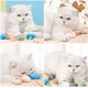 Cat Toy, Mice Toy, Mouse, Cat, Pet, Soft, Fluffy for Cats Kitty, Pack of 10 Cat Toy, Mice Toy, Mouse, Cat, Pet, Soft, Fluffy for Cats Kitty, Pack of 10