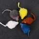 Cat Toy Mouse, Toy Mice with Bell, Pack of 12 Mouse Catnip, Toy Cat Mouse Toys, Fur Mice Small Plush Mouse, Interactive Mouse for Cats Cat Toy Mouse, Toy Mice with Bell, Pack of 12 Mouse Catnip, Toy Cat Mouse Toys, Fur Mice Small Plush Mouse, Interactive Mouse for Cats