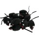 Catnip Game Mouse (Random Color-12pcs) Catnip Game Mouse (Random Color-12pcs)