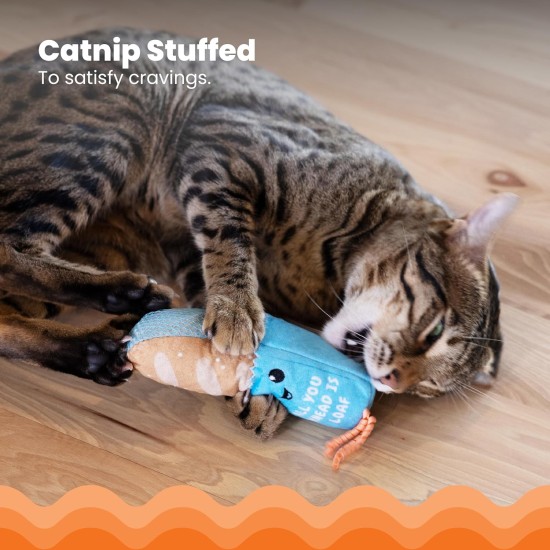 Catstages Flapperz Interactive Cat Toy with Duck Plush Catnip Catstages Flapperz Interactive Cat Toy with Duck Plush Catnip