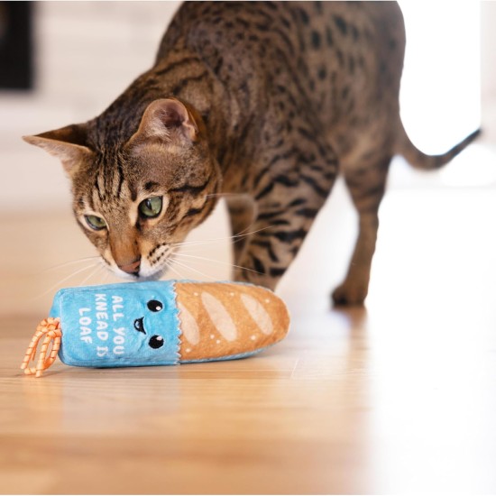 Catstages Flapperz Interactive Cat Toy with Duck Plush Catnip Catstages Flapperz Interactive Cat Toy with Duck Plush Catnip