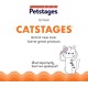 Catstages Flapperz Interactive Cat Toy with Duck Plush Catnip Catstages Flapperz Interactive Cat Toy with Duck Plush Catnip