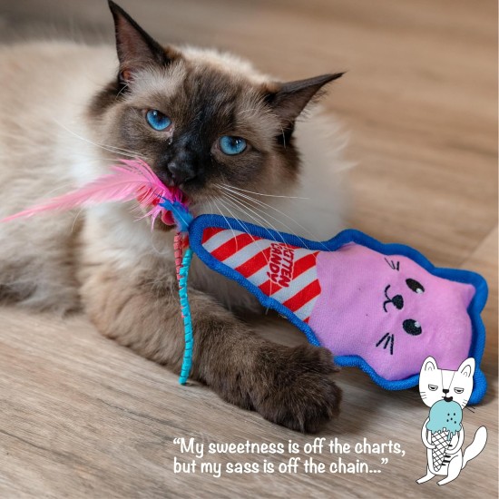 Catstages Flapperz Interactive Cat Toy with Duck Plush Catnip Catstages Flapperz Interactive Cat Toy with Duck Plush Catnip