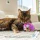 Catstages Flapperz Interactive Cat Toy with Duck Plush Catnip Catstages Flapperz Interactive Cat Toy with Duck Plush Catnip