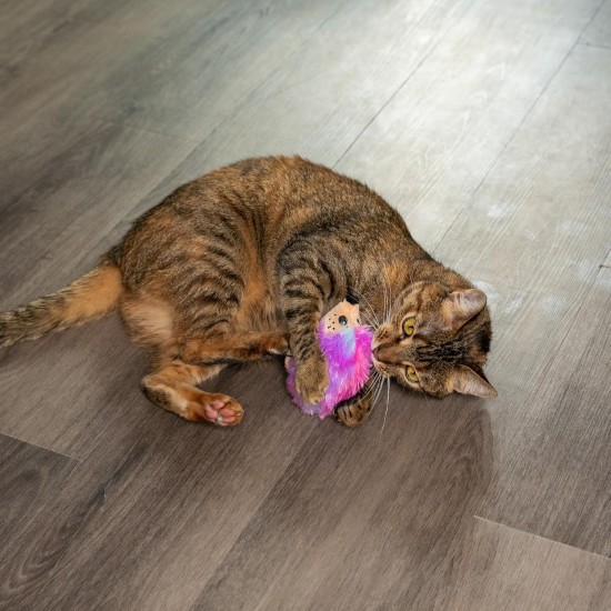 Catstages Flapperz Interactive Cat Toy with Duck Plush Catnip Catstages Flapperz Interactive Cat Toy with Duck Plush Catnip
