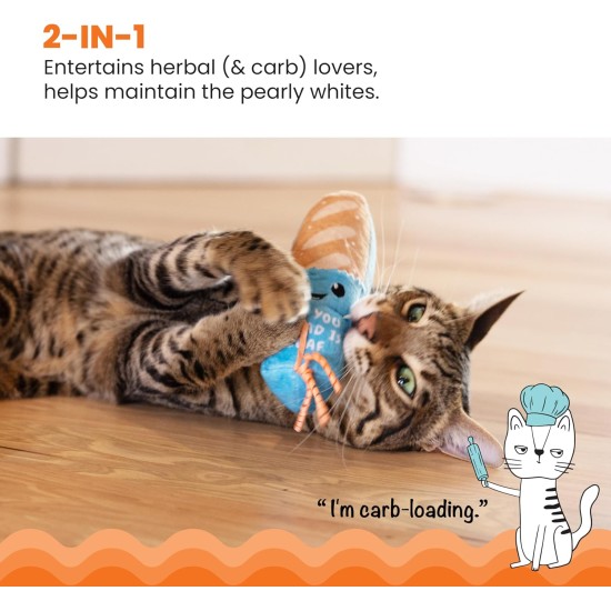 Catstages Flapperz Interactive Cat Toy with Duck Plush Catnip Catstages Flapperz Interactive Cat Toy with Duck Plush Catnip