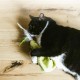 Catstages Wiggle Worm Electronic Toy, Green Catstages Wiggle Worm Electronic Toy, Green