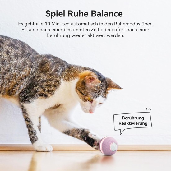 Cheerble Interactive Ball for Cats, Cat Toy Self-Employment, Wicked Ball M1 with 3 Modes & LED Lights, Rechargeable for USB, Smart Toy for Indoor Cats, Kittens - Red Cheerble Interactive Ball for Cats, Cat Toy Self-Employment, Wicked Ball M1 with 3 Modes & LED Lights, Rechargeable for USB, Smart Toy for Indoor Cats, Kittens - Red