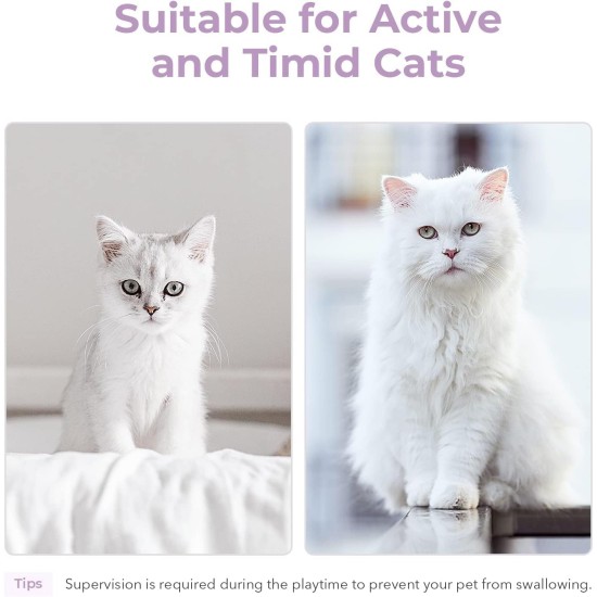 Cheerble Interactive Cat Toy, Intelligent Cat Ball with 3 Modes, LED Lights Changeable, USB Rechargeable, Birthday Gift for Hunting Adult Cats, Grey (Red) Cheerble Interactive Cat Toy, Intelligent Cat Ball with 3 Modes, LED Lights Changeable, USB Rechargeable, Birthday Gift for Hunting Adult Cats, Grey (Red)