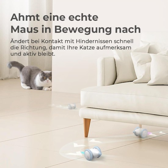 Cheerble Interactive Cat Toy Mouse with Automatic Movement, Wicked Mouse Plus, Electric Kitten Toys for Indoor Cats, Rechargeable, Fit Cats for Paw & Head, Green Cheerble Interactive Cat Toy Mouse with Automatic Movement, Wicked Mouse Plus, Electric Kitten Toys for Indoor Cats, Rechargeable, Fit Cats for Paw & Head, Green