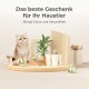 Cheerble Interactive Cat Toy Mouse with Automatic Movement, Wicked Mouse Plus, Electric Kitten Toys for Indoor Cats, Rechargeable, Fit Cats for Paw & Head, Green Cheerble Interactive Cat Toy Mouse with Automatic Movement, Wicked Mouse Plus, Electric Kitten Toys for Indoor Cats, Rechargeable, Fit Cats for Paw & Head, Green