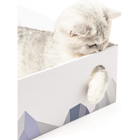 Conlun Cat Scratching Box with 4 Cat Scratching Boards & 2 Separate Cat Boxes & 1 Cat Ball & 1 Catnip Toy, 2-in-1 Scratching Cardboard for Cats to Scratch & Rest, Set Conlun Cat Scratching Box with 4 Cat Scratching Boards & 2 Separate Cat Boxes & 1 Cat Ball & 1 Catnip Toy, 2-in-1 Scratching Cardboard for Cats to Scratch & Rest, Set