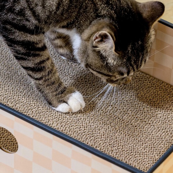 Conlun Cat Scratching Box with 4 Cat Scratching Boards & 2 Separate Cat Boxes & 1 Cat Ball & 1 Catnip Toy, 2-in-1 Scratching Cardboard for Cats to Scratch & Rest, Set Conlun Cat Scratching Box with 4 Cat Scratching Boards & 2 Separate Cat Boxes & 1 Cat Ball & 1 Catnip Toy, 2-in-1 Scratching Cardboard for Cats to Scratch & Rest, Set