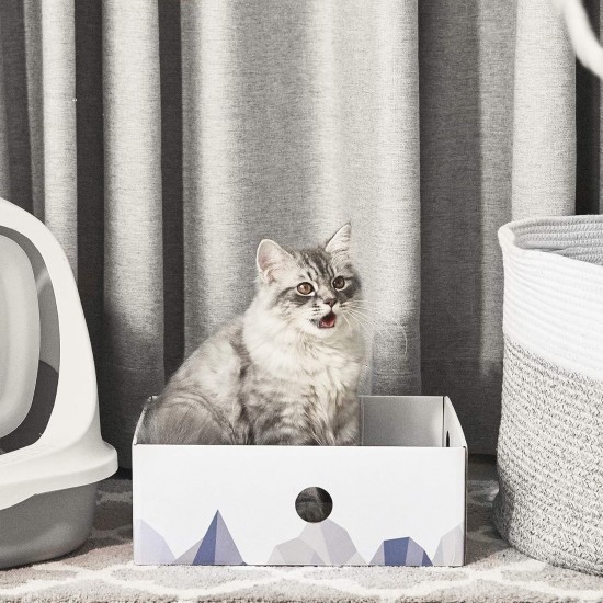 Conlun Cat Scratching Box with 4 Cat Scratching Boards & 2 Separate Cat Boxes & 1 Cat Ball & 1 Catnip Toy, 2-in-1 Scratching Cardboard for Cats to Scratch & Rest, Set Conlun Cat Scratching Box with 4 Cat Scratching Boards & 2 Separate Cat Boxes & 1 Cat Ball & 1 Catnip Toy, 2-in-1 Scratching Cardboard for Cats to Scratch & Rest, Set