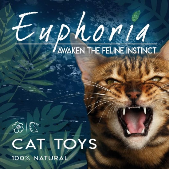 Croci Euphoria Stick Feather W/Silvervine Ball Edible Catnip & Silvervine Cat Toy 12cm Croci Euphoria Stick Feather W/Silvervine Ball Edible Catnip & Silvervine Cat Toy 12cm