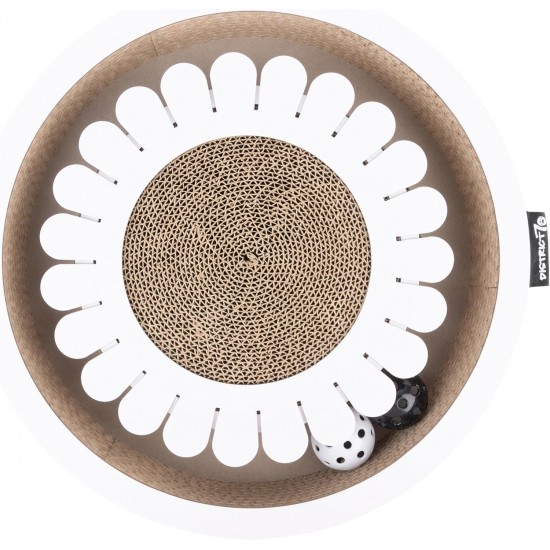 District 70 Bloom White