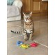 Duckyworld Yeoww Sun Moon and Stars (3 pcs) Cat Toy with Catnip, 400 g Duckyworld Yeoww Sun Moon and Stars (3 pcs) Cat Toy with Catnip, 400 g
