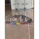 Duckyworld Yeoww Sun Moon and Stars (3 pcs) Cat Toy with Catnip, 400 g Duckyworld Yeoww Sun Moon and Stars (3 pcs) Cat Toy with Catnip, 400 g