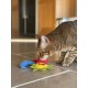 Duckyworld Yeoww Sun Moon and Stars (3 pcs) Cat Toy with Catnip, 400 g Duckyworld Yeoww Sun Moon and Stars (3 pcs) Cat Toy with Catnip, 400 g