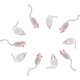 ELANOX Set of 10 Toy Mice Toy Mouse with Bell and without Plastic Parts Outside (Eyes, Nose) Soaked in Catnip Cat Toy (10 Pieces, White) ELANOX Set of 10 Toy Mice Toy Mouse with Bell and without Plastic Parts Outside (Eyes, Nose) Soaked in Catnip Cat Toy (10 Pieces, White)