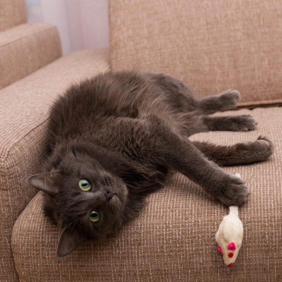 ELANOX Set of 10 Toy Mice Toy Mouse with Bell and without Plastic Parts Outside (Eyes, Nose) Soaked in Catnip Cat Toy (10 Pieces, White) ELANOX Set of 10 Toy Mice Toy Mouse with Bell and without Plastic Parts Outside (Eyes, Nose) Soaked in Catnip Cat Toy (10 Pieces, White)