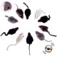 ELANOX Set of 10 Toy Mice Toy Mouse with Bell and without Plastic Parts Outside (Eyes, Nose) Soaked in Catnip Cat Toy (10 Pieces, White) ELANOX Set of 10 Toy Mice Toy Mouse with Bell and without Plastic Parts Outside (Eyes, Nose) Soaked in Catnip Cat Toy (10 Pieces, White)