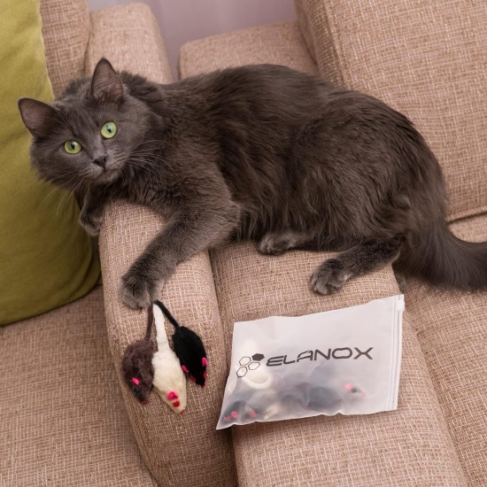 ELANOX Set of 10 Toy Mice Toy Mouse with Bell and without Plastic Parts Outside (Eyes, Nose) Soaked in Catnip Cat Toy (10 Pieces, White) ELANOX Set of 10 Toy Mice Toy Mouse with Bell and without Plastic Parts Outside (Eyes, Nose) Soaked in Catnip Cat Toy (10 Pieces, White)