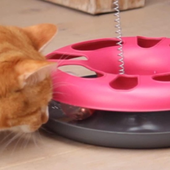 EURO MARKETING MANUFACTURING Crazy CAT Donut 3-in-1 Cat Toy EURO MARKETING MANUFACTURING Crazy CAT Donut 3-in-1 Cat Toy