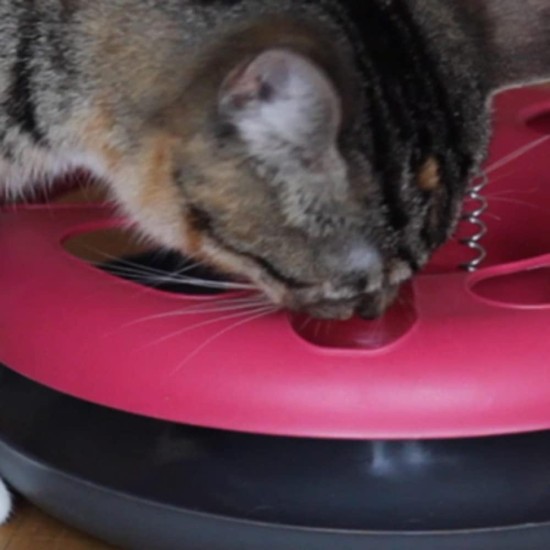 EURO MARKETING MANUFACTURING Crazy CAT Donut 3-in-1 Cat Toy EURO MARKETING MANUFACTURING Crazy CAT Donut 3-in-1 Cat Toy