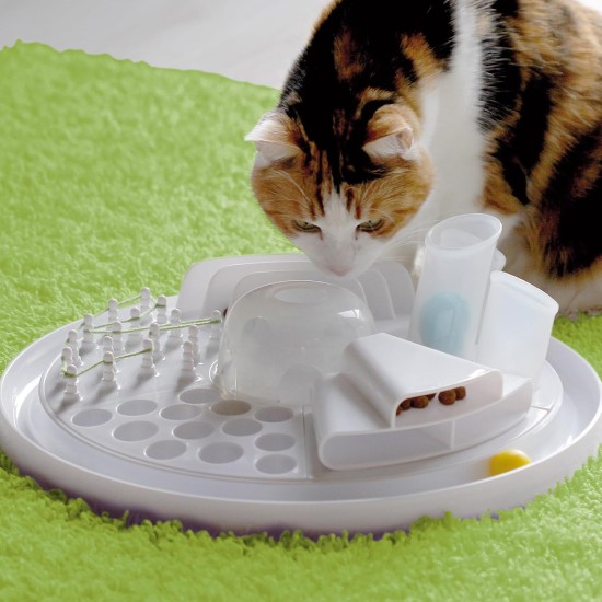 Edupet Cat Toy Cat Center Edupet Cat Toy Cat Center