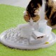 Edupet Cat Toy Cat Center Edupet Cat Toy Cat Center