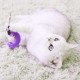 FAURAPMNG 20 Pieces Cat Worm Teaser Refills, Interactive Cat Wand Toy, Assorted Teaser Refills with Bells, Kitten Sticks, Toys for Indoor Cat Training Equipment FAURAPMNG 20 Pieces Cat Worm Teaser Refills, Interactive Cat Wand Toy, Assorted Teaser Refills with Bells, Kitten Sticks, Toys for Indoor Cat Training Equipment