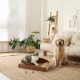 FUKUMARU Cat Scratching Board, 66 cm, Durable Scratching Cardboard and Felt, Large Lounger, 2 Reversible Cat Scratching Pads for Cats, Recyclable, Corrugated Cardboard Cat Scratching Bed with Bell