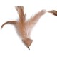 Feather Tail Mice Cat Toy (Pack of 2) Feather Tail Mice Cat Toy (Pack of 2)