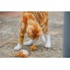Feather Tail Mice Cat Toy (Pack of 2) Feather Tail Mice Cat Toy (Pack of 2)