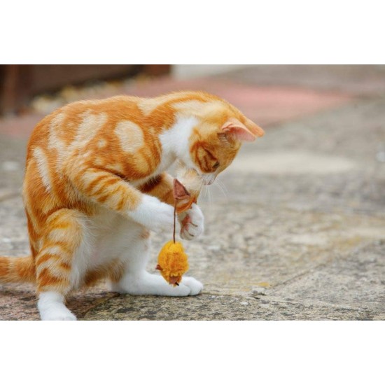 Feather Tail Mice Cat Toy (Pack of 2) Feather Tail Mice Cat Toy (Pack of 2)