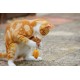Feather Tail Mice Cat Toy (Pack of 2) Feather Tail Mice Cat Toy (Pack of 2)