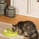 Ferplast Interaktives Spiel für Katzen DISCOVER Sie mit Löchern für Knabbereien aus Kunststoff mit rutschfestem Material, Ø 23 x 4,2 cm Ferplast Interaktives Spiel für Katzen DISCOVER Sie mit Löchern für Knabbereien aus Kunststoff mit rutschfestem Material, Ø 23 x 4,2 cm