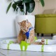 Ferplast Interaktives Spiel für Katzen LABYRINTH-Schaltung mit Frühlingsspielzeug, Katzenspielzeug inklusive Leuchtkugel, 72 x 40 cm Ferplast Interaktives Spiel für Katzen LABYRINTH-Schaltung mit Frühlingsspielzeug, Katzenspielzeug inklusive Leuchtkugel, 72 x 40 cm