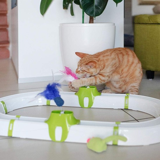 Ferplast Interaktives Spiel für Katzen LABYRINTH-Schaltung mit Frühlingsspielzeug, Katzenspielzeug inklusive Leuchtkugel, 72 x 40 cm Ferplast Interaktives Spiel für Katzen LABYRINTH-Schaltung mit Frühlingsspielzeug, Katzenspielzeug inklusive Leuchtkugel, 72 x 40 cm
