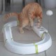 Ferplast Interaktives Spiel für Katzen LABYRINTH-Schaltung mit Frühlingsspielzeug, Katzenspielzeug inklusive Leuchtkugel, 72 x 40 cm Ferplast Interaktives Spiel für Katzen LABYRINTH-Schaltung mit Frühlingsspielzeug, Katzenspielzeug inklusive Leuchtkugel, 72 x 40 cm