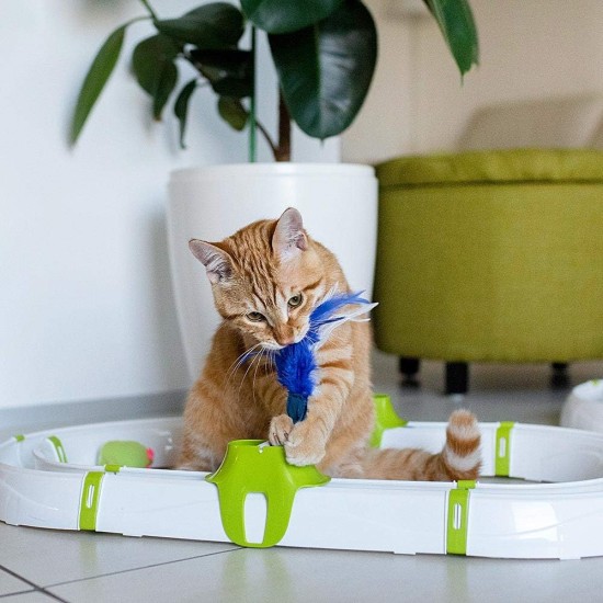 Ferplast Interaktives Spiel für Katzen TYPHON Katzenspielzeug, Modular Circuit, LED Luminous Ball enthalten Ferplast Interaktives Spiel für Katzen TYPHON Katzenspielzeug, Modular Circuit, LED Luminous Ball enthalten